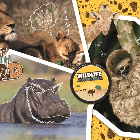 Puzzle supercolor National Geo Kids Wildlife Adventurer 104 piese 6+ ani