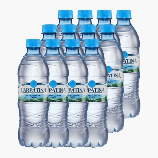 Apă minerală naturală plată 12x500ml