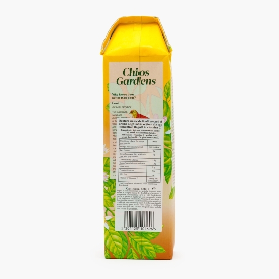 Limonadă ghimbir 1l