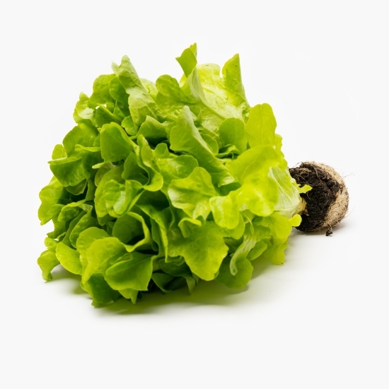 Salată Salanova bionda  cu rădăcină 1 buc