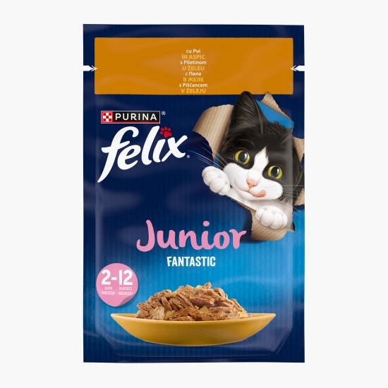 Hrană umedă pentru pisici Junior, 85g, Fantastic cu pui în aspic