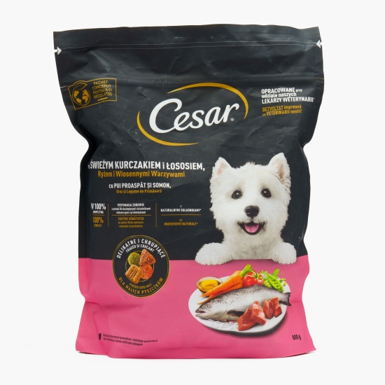 Hrană uscată pentru câini adulți de talie mică 800g, cu pui și somon