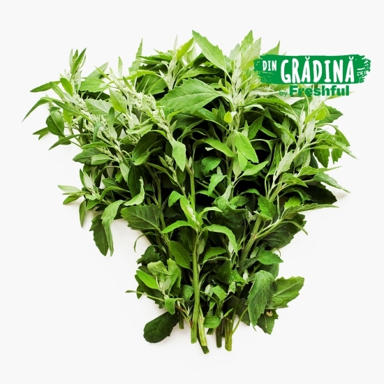 Lobodă sălbatică eco 100g Bioferma Niculești