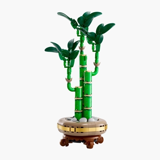 Bambus Norocos, 10344 Botanicals, 325 piese, +18 ani