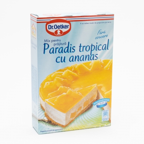 Mix pentru prăjitură Paradis tropical cu ananas 287g