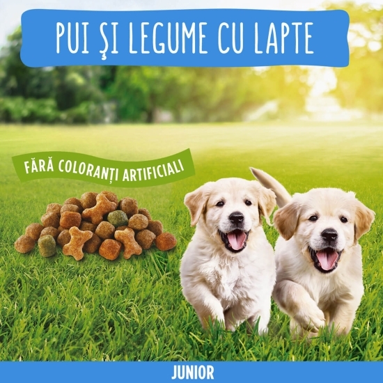 Hrană uscată pentru câini junior, 8kg, cu pui și legume