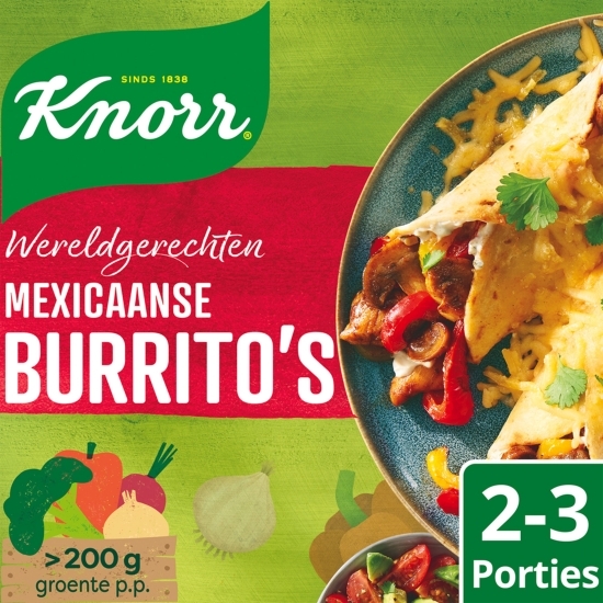 Kit Mexican Burrito's 228g