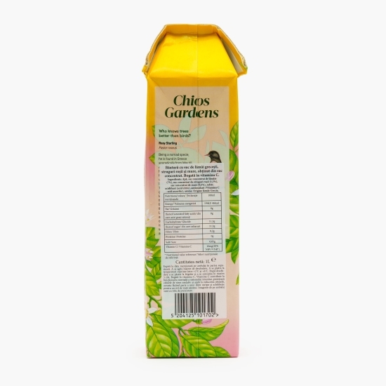 Limonadă roz cu struguri și mure 1l