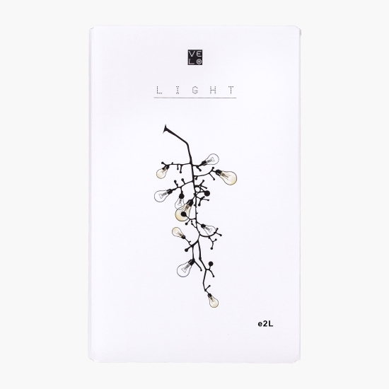 Vin alb sec Aligote, 12.2%, bag in box 2l