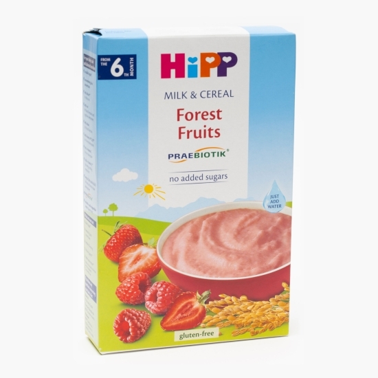 Gustare lapte și cereale cu fructe de pădure, +6 luni, 250g 