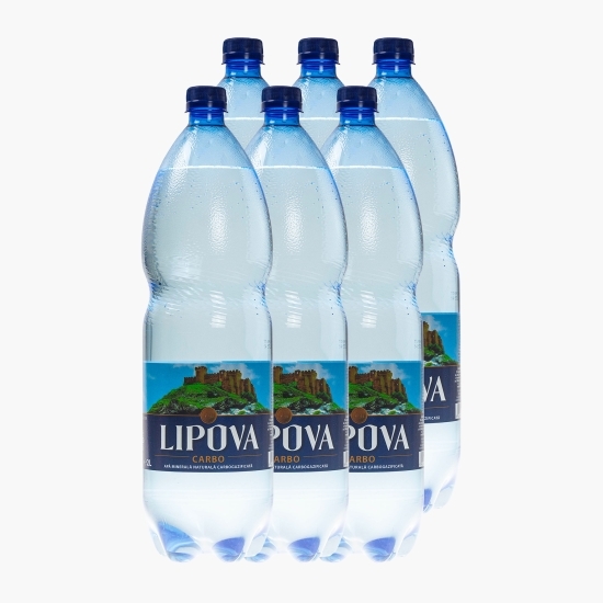 Apă minerală naturală carbogazificată 6x2l