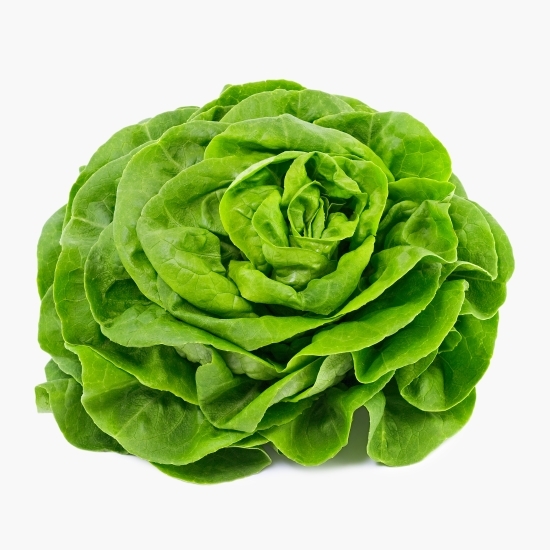 Salată verde, proaspăt culeasă 1 buc