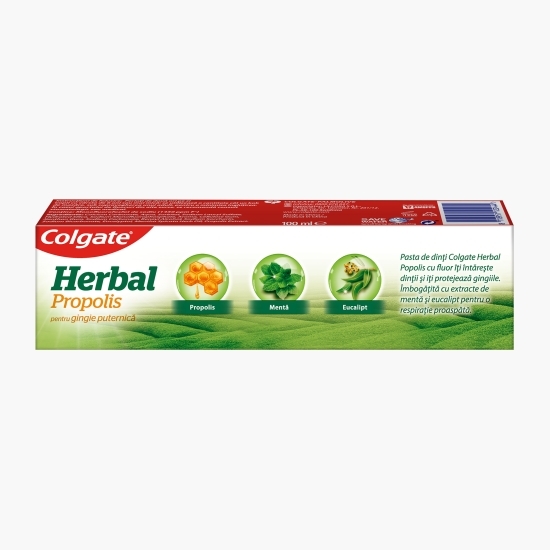 Pastă de dinți cu extract de propolis și vitamina E Herbal Propolis 100ml