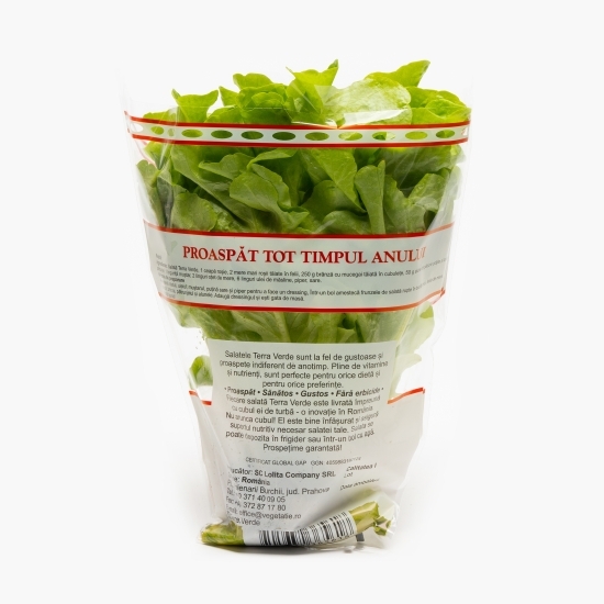 Salată Salanova cu rădăcină bionda 1 buc
