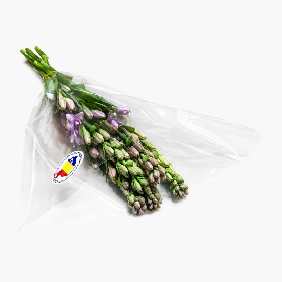 Buchet tuberoze, 5 fire, diverse culori