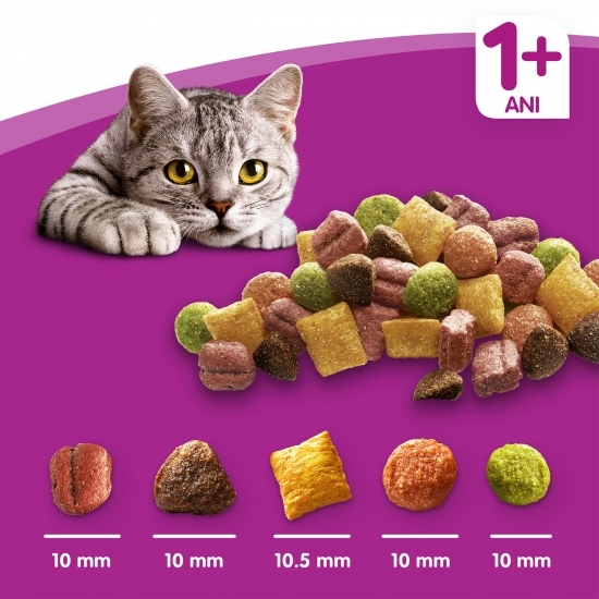 Hrană uscată pentru pisici adulte 1.4kg, cu miel