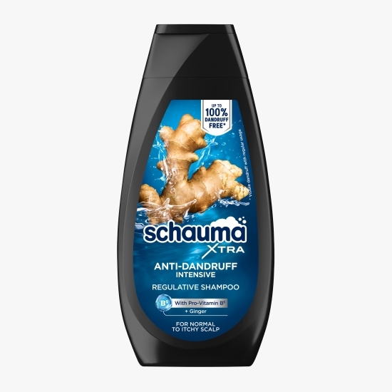 Șampon antimătreață pentru bărbați Intensive, 350ml