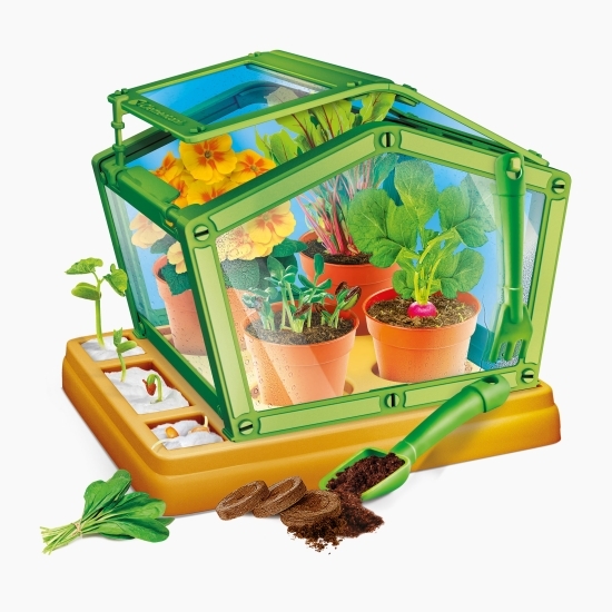 Știință & Joacă - Prima seră biologică, +7 ani