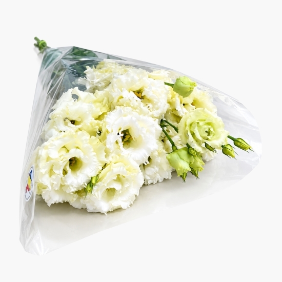 Buchet lisianthus, 5 fire, diverse culori