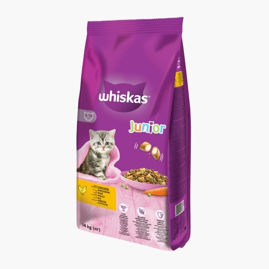 Hrană uscată pentru pisici junior, 14kg, cu pui 