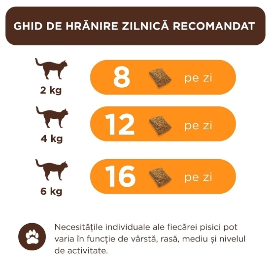 Recompense crocante pentru pisici adulte, pernuțe cu pui, 60g