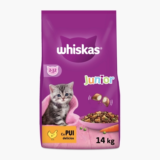 Hrană uscată pentru pisici junior, 14kg, cu pui 