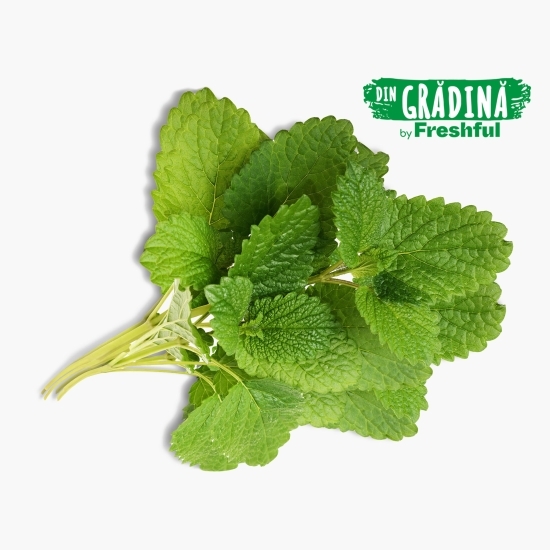 Roiniță eco, România (Bioferma Niculești) 50g