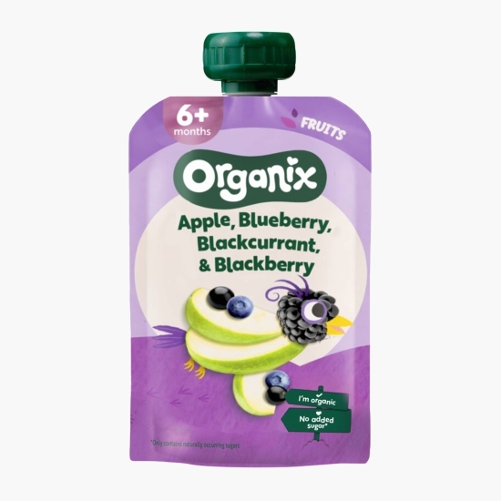 Piure ecologic de mere, afine, coacăze negre și mure, 6+ luni, 100g