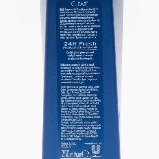 Șampon antimătreață pentru bărbați 24h Fresh 250ml