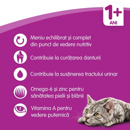 Hrană uscată pentru pisici adulte 1.4kg, cu miel
