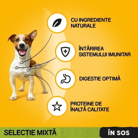 Hrană umedă pentru câini adulți, 40 buc x 100g, pliculețe Vital Protection
