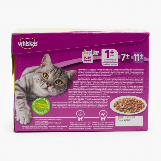 Hrană umedă pentru pisici, 12x100g, selecții de carne în aspic