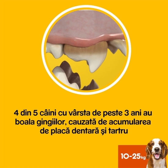 Batoane dentare pentru câini de talie medie, 180g, DentaStix cu eucalipt