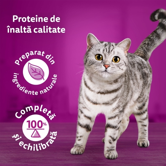 Hrană umedă pentru pisici, 85g, Pure Delight cu pui în aspic