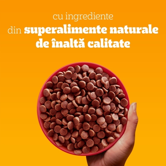 Hrană uscată pentru câini adulți de talie mică, 3kg, Mini cu vită și legume