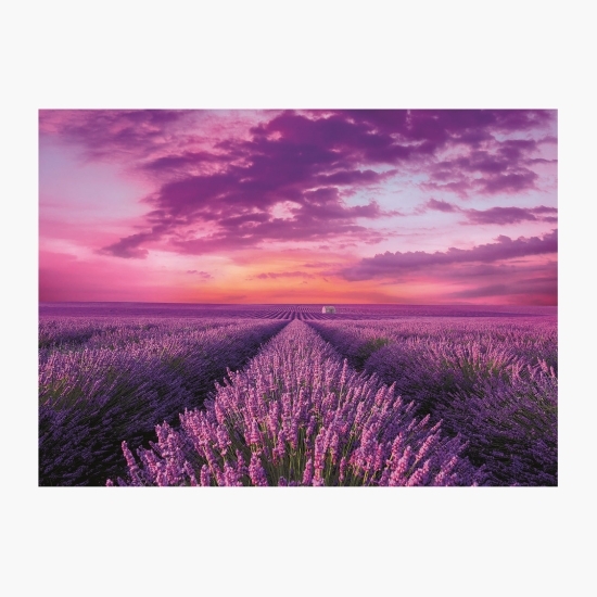 Puzzle HQ Lavender Field 1000 piese 10+ ani
