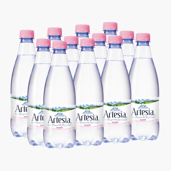 Apă minerală naturală plată 12x500ml