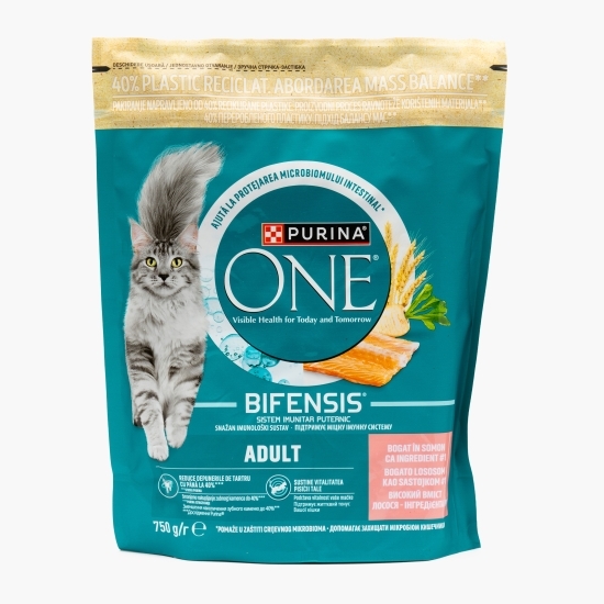Hrană uscată pentru pisici adulte, sistem imunitar puternic, 750g, One Bifensis, cu somon și cereale