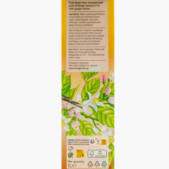 Limonadă ghimbir 1l