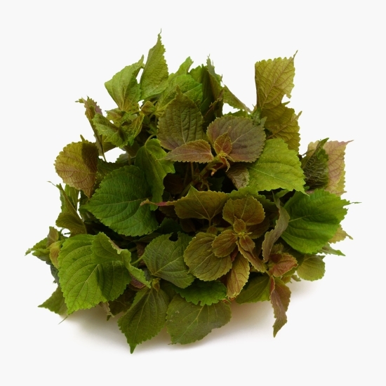 Salată asiatică ECO România (Ferma Sarei) 120g