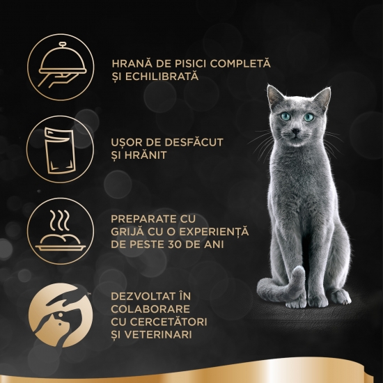 Hrană umedă pentru pisici adulte, 4x85g, selecție de pește în sos