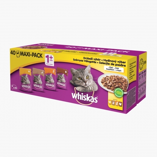 Hrană umedă pentru pisici adulte, 40x100g, cu carne de păsare în aspic