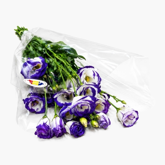 Buchet lisianthus, 5 fire, diverse culori