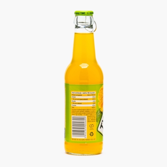 Băutură necarbogazoasă măr, mango, mentă 250ml