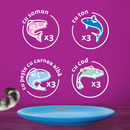 Hrană umedă pentru pisici adulte, 12 x 85g, Selecții de pește în aspic