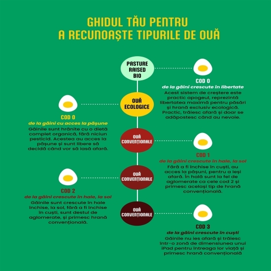 Ouă de la găini pășunate, marime M-L, 10 buc