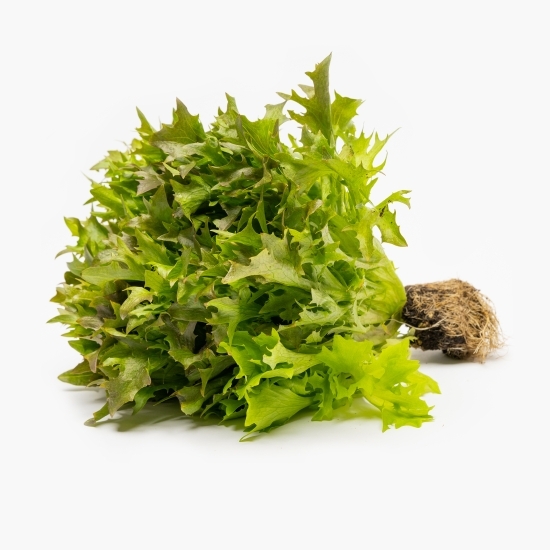 Salată Salanova mixtă cu rădăcină 1 buc