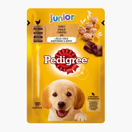 Hrană umedă pentru câini juniori, 100g, cu pui în aspic