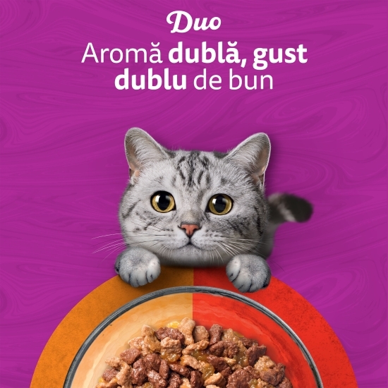 Hrană umedă pentru pisici, 85g, cu vită și pasăre în aspic