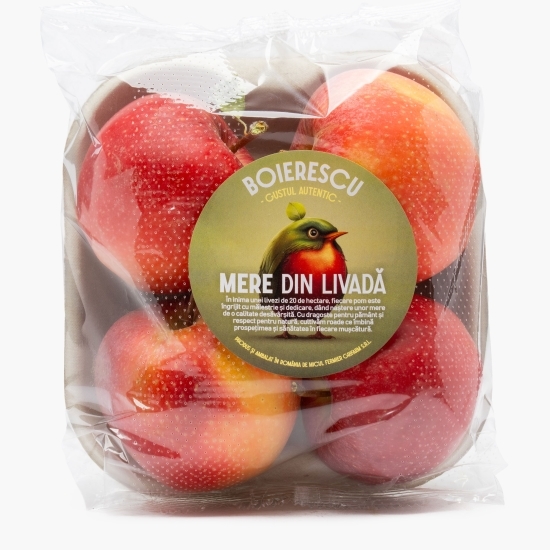 Mere Pinova 4 buc din livada Boierescu